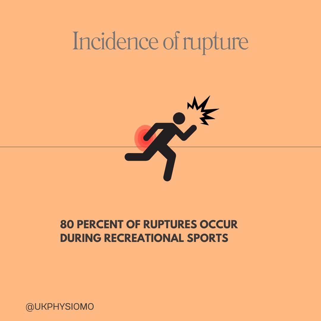 80 percent of rupture occur during recreational sports.